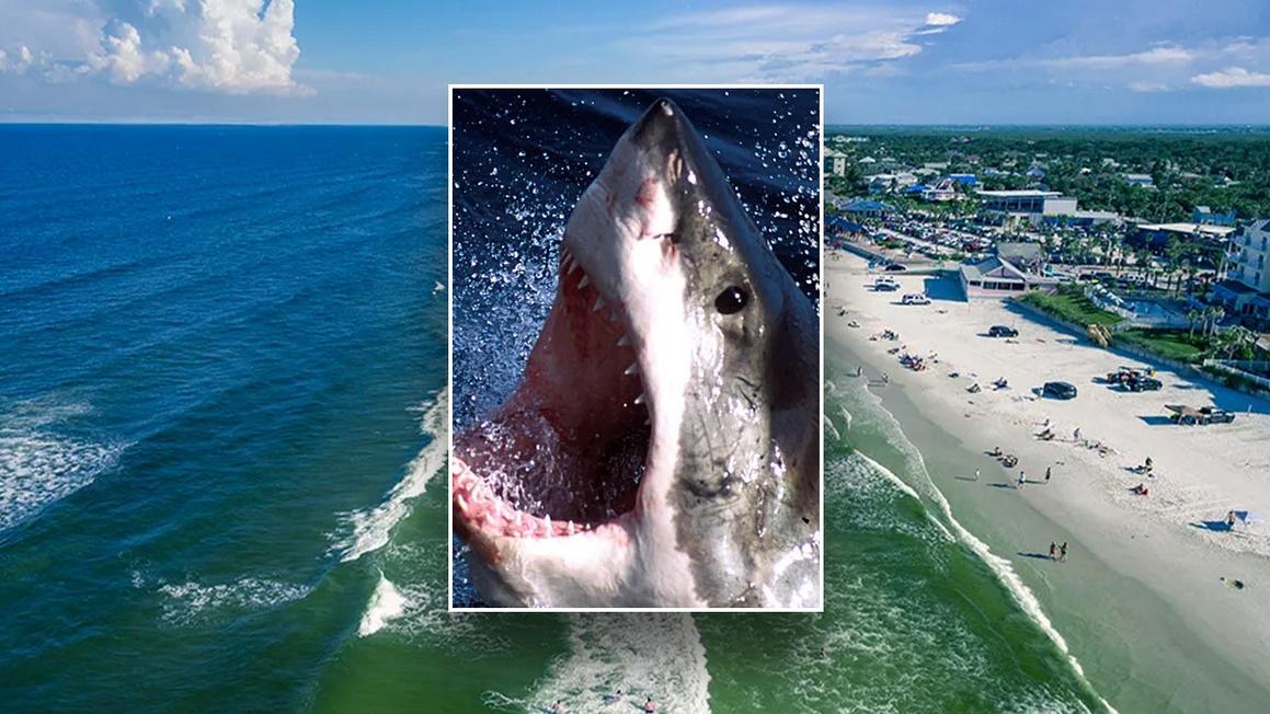 Surfer Florida thoát chết kỳ diệu sau khi bị cá mập tấn công