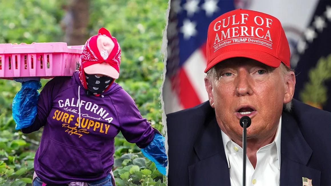 Tổng Thống Trump Xem Xét Miễn Trục Xuất cho Người Lao Động Nông Nghiệp và Khách Sạn