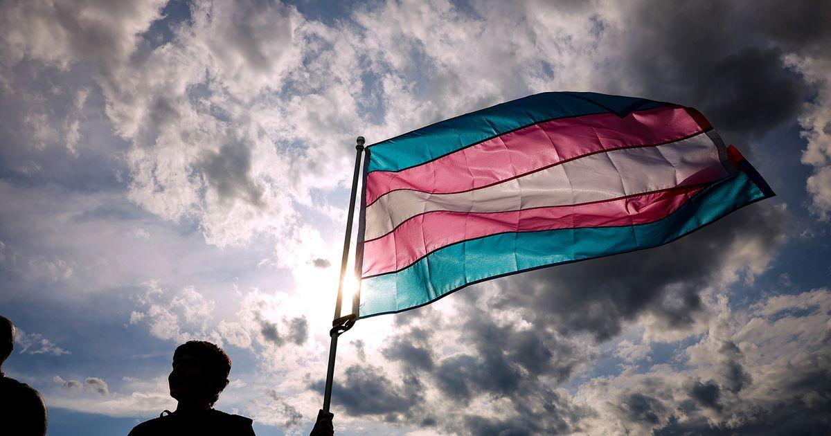 tsr trans flag inclusive