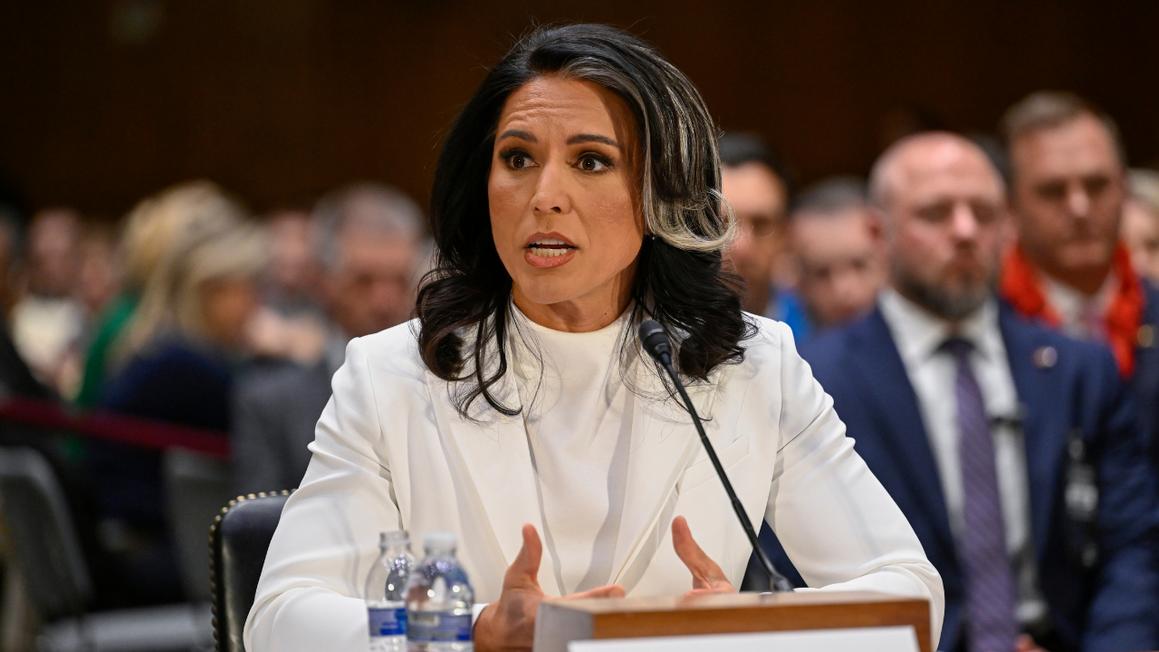 tulsi gabbard 3