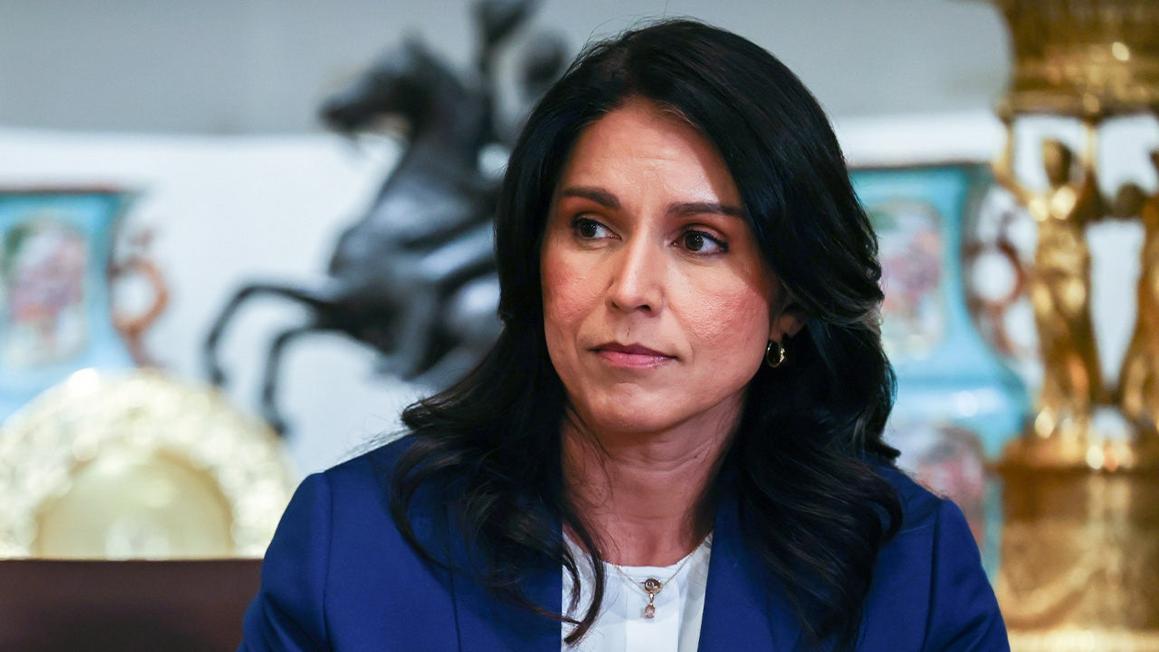 tulsi gabbard cabinet meeting