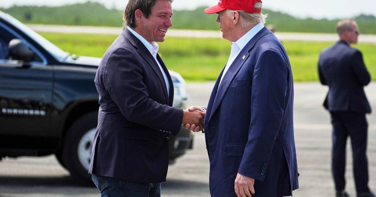 urnpublicidap.org07cb320aaccd2a1ce6f07b9b9bc3dd03Trump 66845