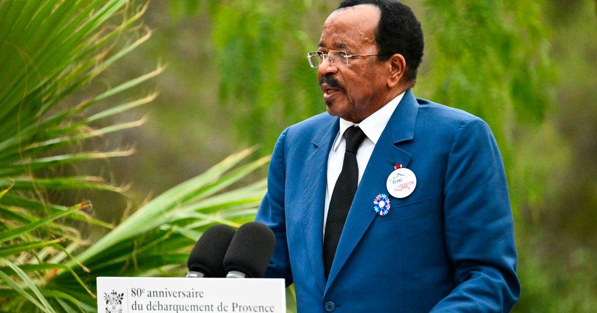 urnpublicidap.org0fecb20a350aa3fb5b74d94b0de67b86Cameroon Politics 72924 1