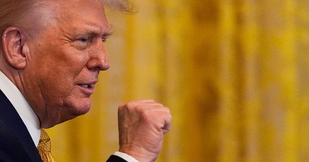 urnpublicidap.org4132be40632415826f36c1a06221f4fdTrump 88181