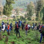 Ethiopia ra mắt chiến dịch trồng 700 triệu cây trong một ngày