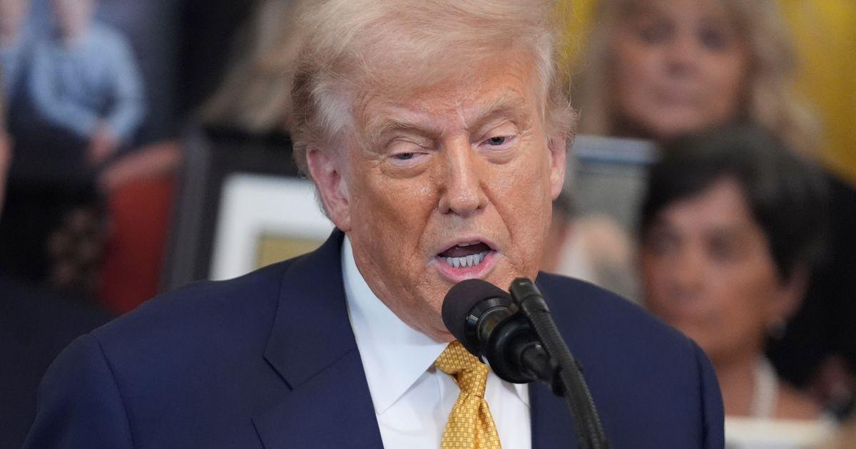 urnpublicidap.org7b800db8d6cf6fffbee28039f42d2dafTrump 05667