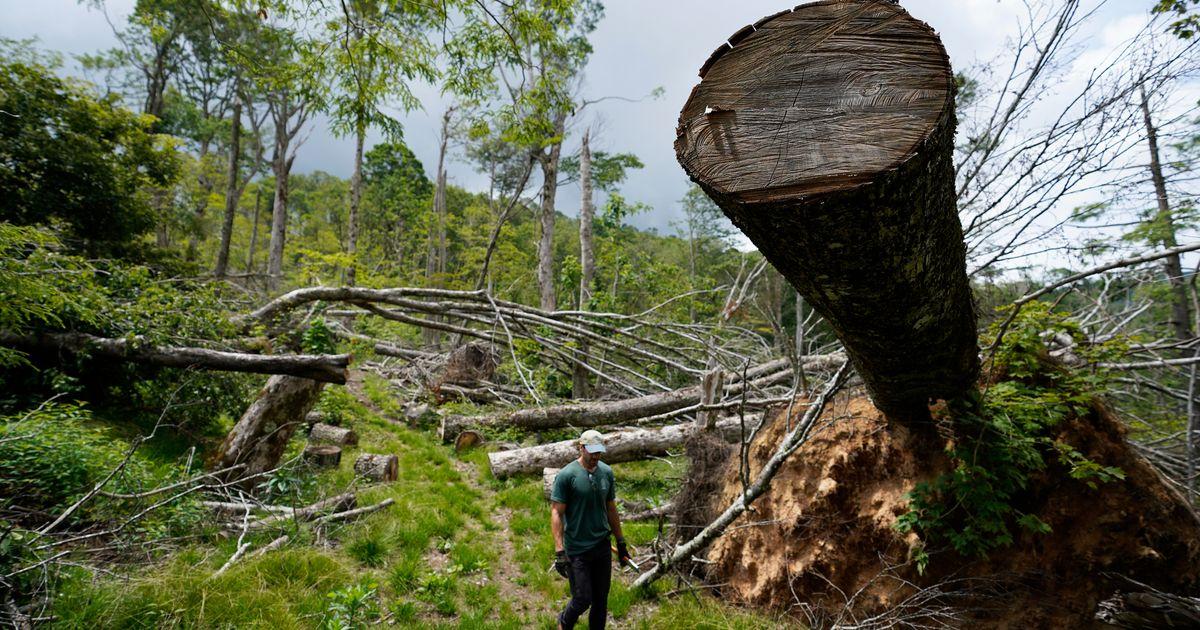 urnpublicidap.org940bb93ac849bda575bdce3e519c0ab6Hurricane Helene Appalachian Trail 76756