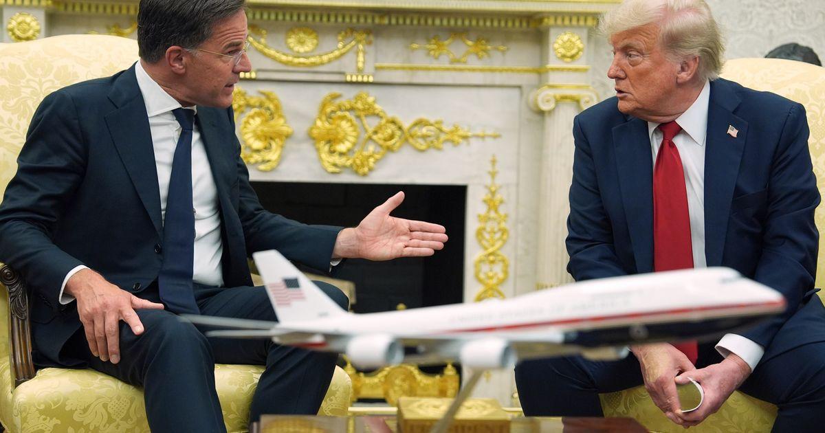 urnpublicidap.orga77b90143f2a3c667fde57884e6d3558Trump 99944