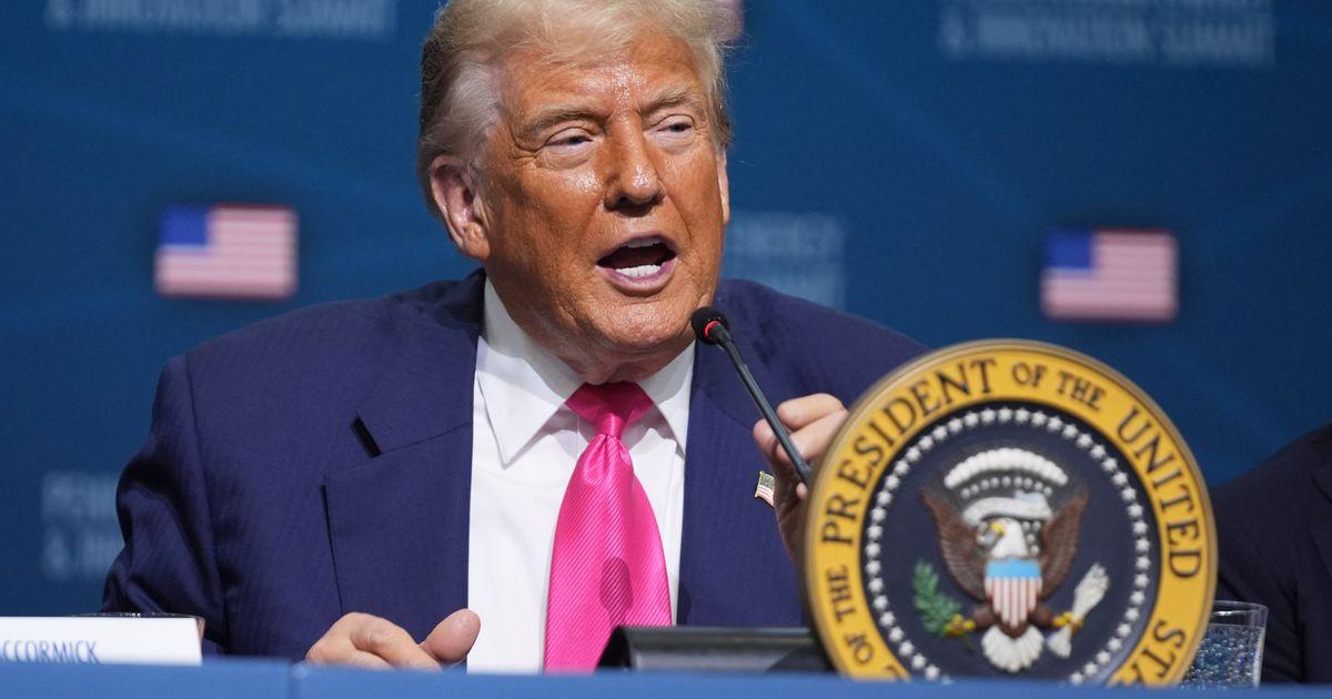 urnpublicidap.orgccde532a4bd6c2c1d6bb73b28d90b0f9Trump 88915