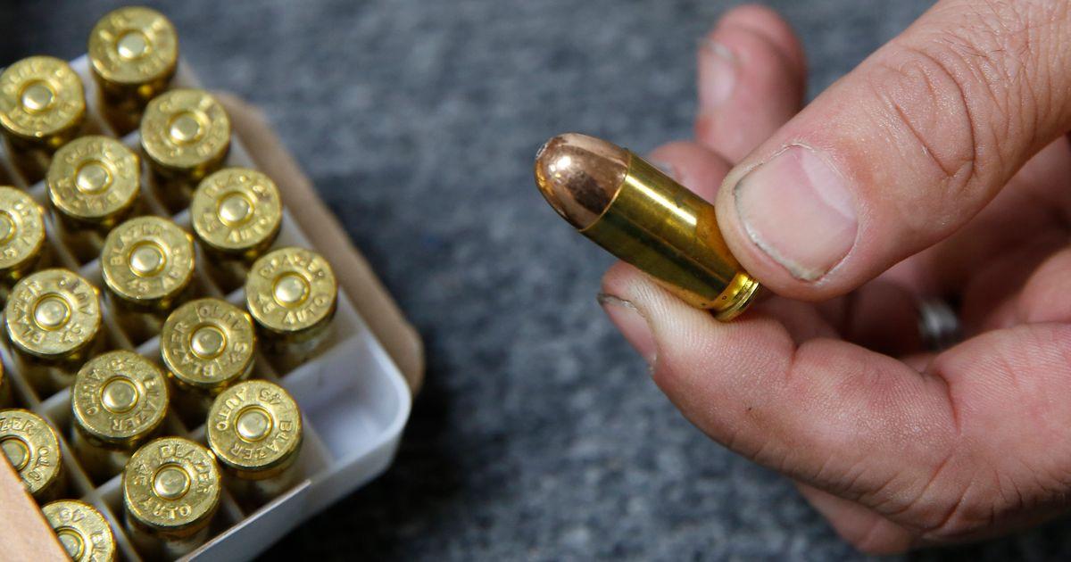 urnpublicidap.orged7f0b0f7eede45aaed49df8430e2583California Guns Ammunition 39499