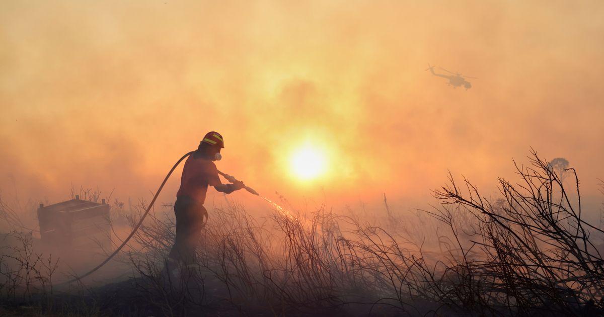 urnpublicidap.orgff56968d3b24becc58583ada40634850APTOPIX Greece Wildfire 21884