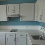 Tân Làng Cựu Chiến Binh Mở Cửa Tại Houston