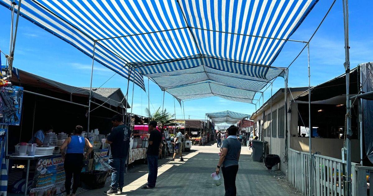 08042025 TZR Pasco Flea Market 2025 tzr 150430