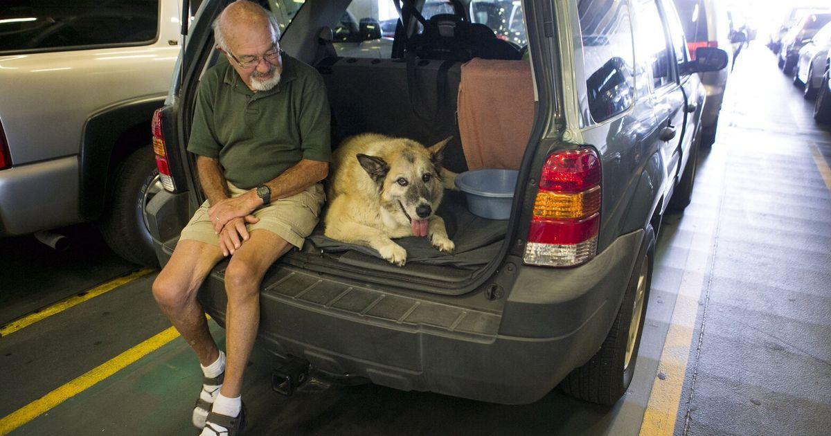 08262025 ferrydog82625 tzr tzr 061406