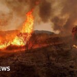 California: Hàng ngàn người sơ tán vì cháy rừng lan rộng