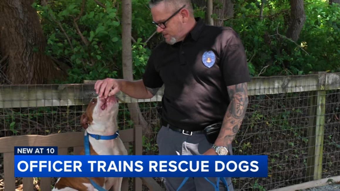 17429528 080425 wpvi leeane kayati k9 officer rescue dogs 10am vid