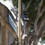 San Francisco Bắt Đầu Phát Hành Phạt Xe Lỗi Tốc Độ