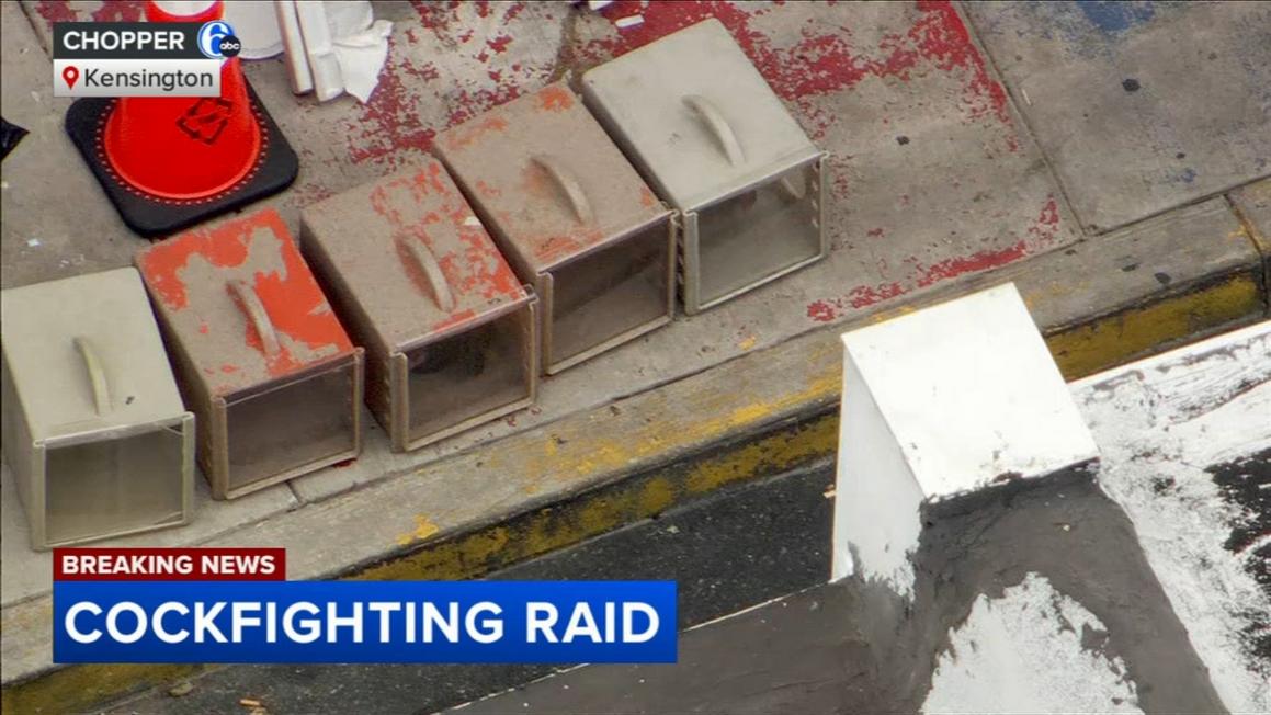17526877 081325 wpvi cockfighting in kensington 5pm CC vid