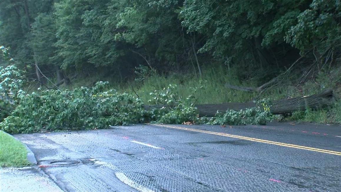17594407 082025 wpvi kelly drive tree fall 630a vo video C vid