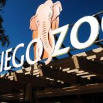 Sở Thú San Diego Báo Tin Buồn: 3 Động Vật Quý Thân Yêu Qua Đời Chỉ Trong Một Tuần