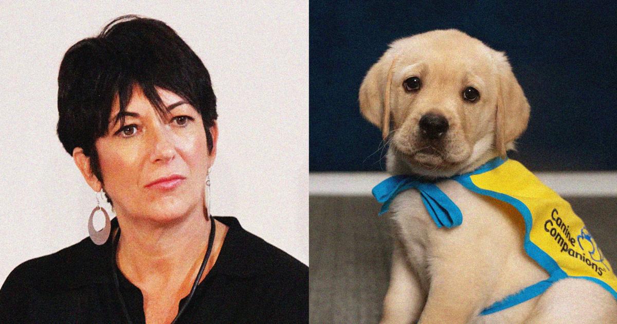 250806 ghislaine maxwell canine coompanions training prison 02 cs b37024