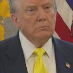 Tổng Thống Donald Trump Không Cam Kết Ngày 8 Tháng 8 Là Hạn Chót Ngừng Bắn Cho Tổng Thống Putin