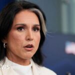 Tulsi Gabbard Thu Hồi Quyền Tiếp Cận Mật Vụ Của 37 Quan Chức Tình Báo Hoa Kỳ