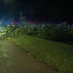 Cây đổ chắn một đoạn đường Kelly Drive tại Philadelphia