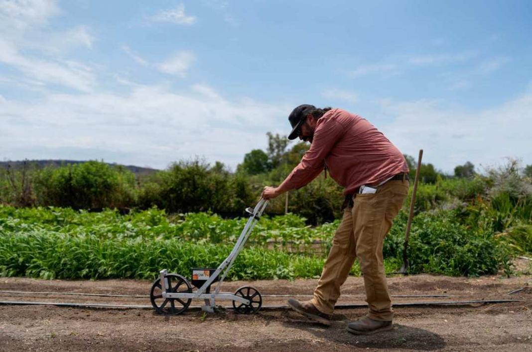 Lợi ích sức khỏe khi làm vườn và tiếp xúc với đất