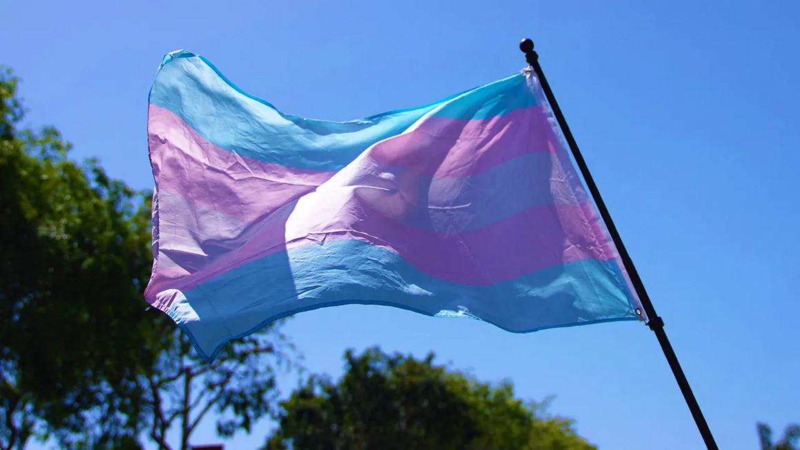Transgender flag