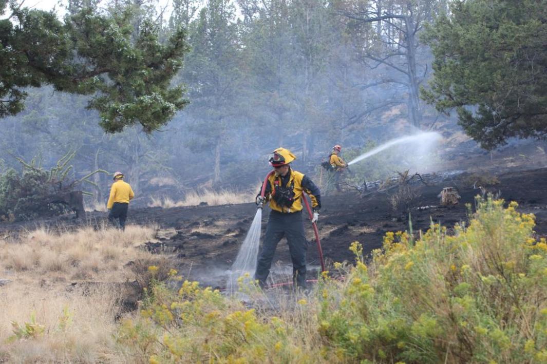Western Wildfires 53273 487a09 1