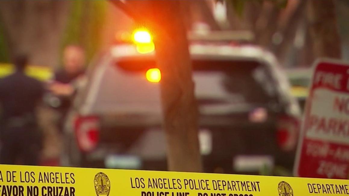 lapd crime police generic 2