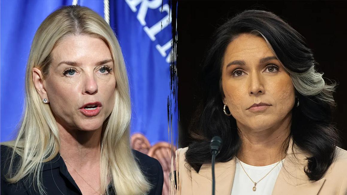 pam bondi tulsi gabbard