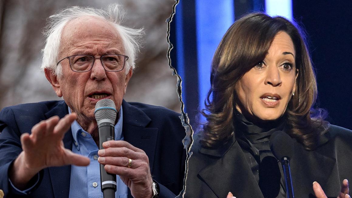 sanders harris campaign cnn sotu