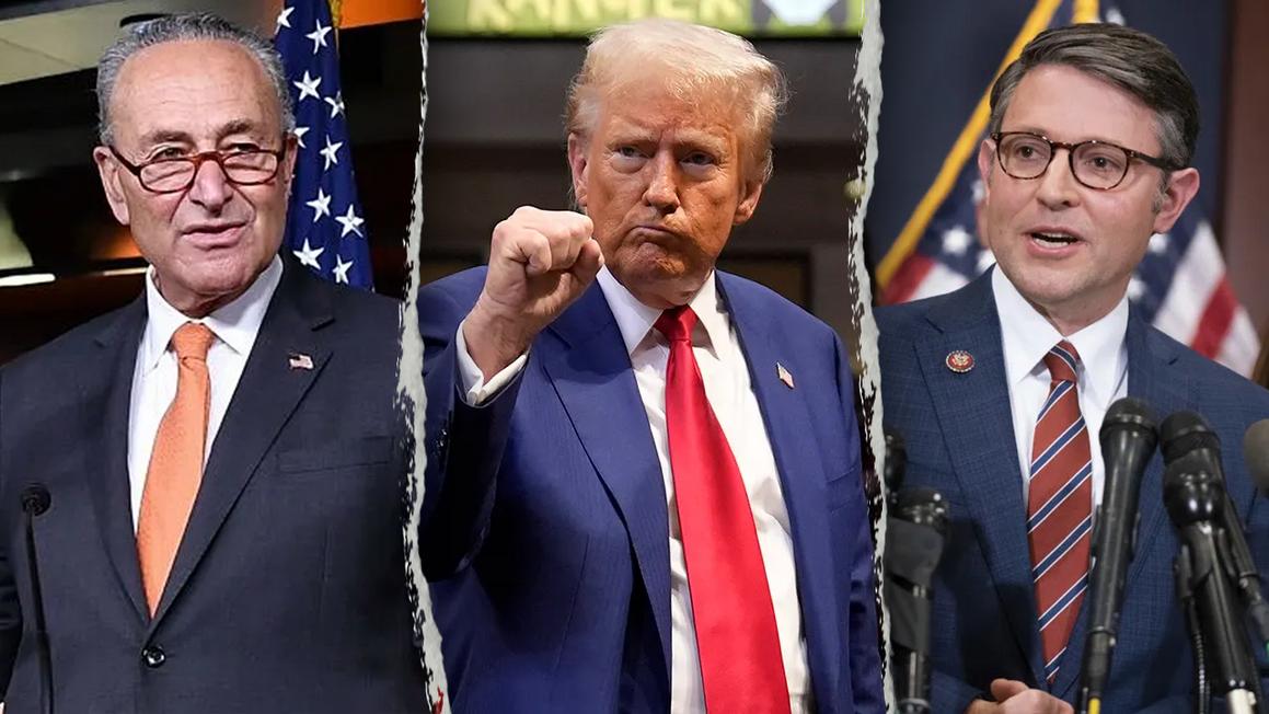 schumer trump johnson