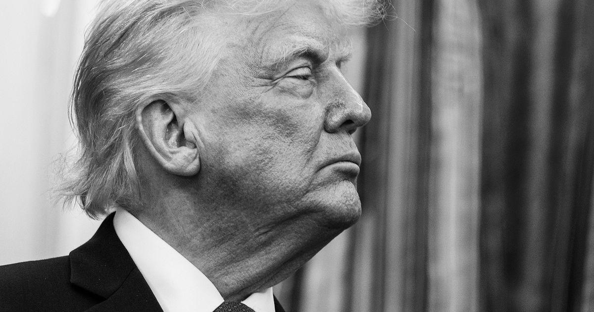 tsr trump portrait stephens