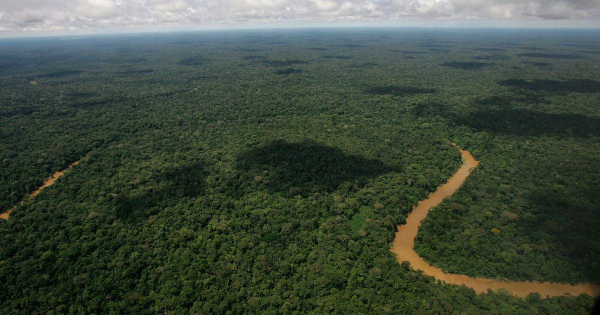 Môi trường Ecuador: Báo động với các chính sách mới của Tổng thống Noboa