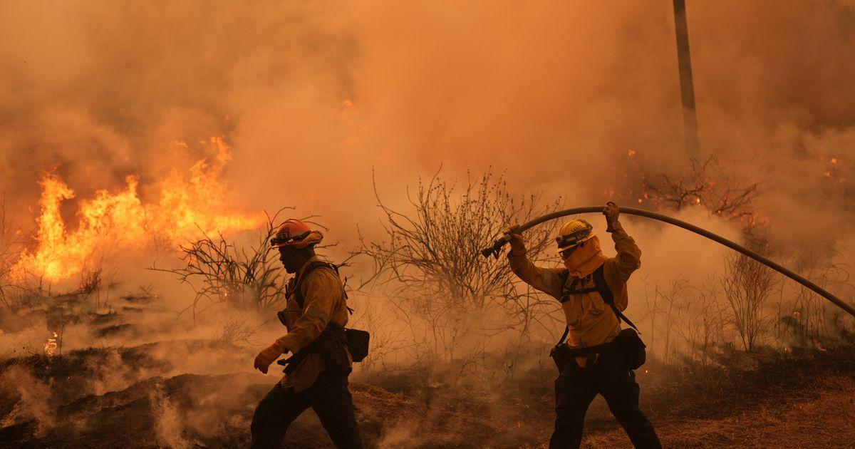 urnpublicidap.org6025321e654dcfd3ea7cbc18343b5992California Wildfires 75472