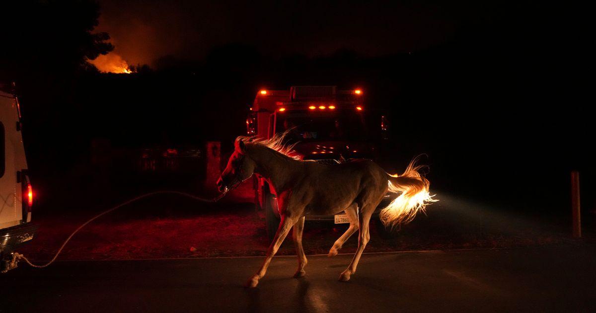 urnpublicidap.org7a2719b8721f2fe586eba083a4a7d231APTOPIX California Wildfires 41854