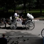 Ban xe ngựa trong Công viên Trung tâm New York