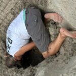 Bão Erin không đổ bộ hay gây thiệt hại lớn, nhưng ảnh hưởng đến tổ rùa biển